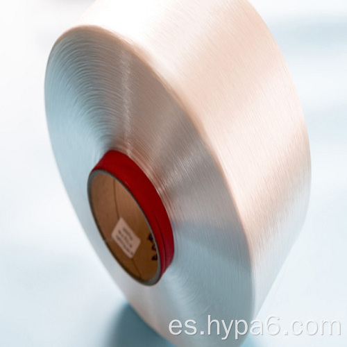 Alta tenacidad 210D Nylon 6 Hilo para coser